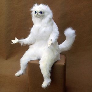 Meet your Posher, Alexander